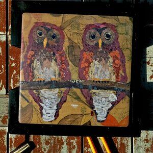 Thirstystone Ceramic Cork Backed Drink Coasters‎ Set Hoo Hoo With Holder